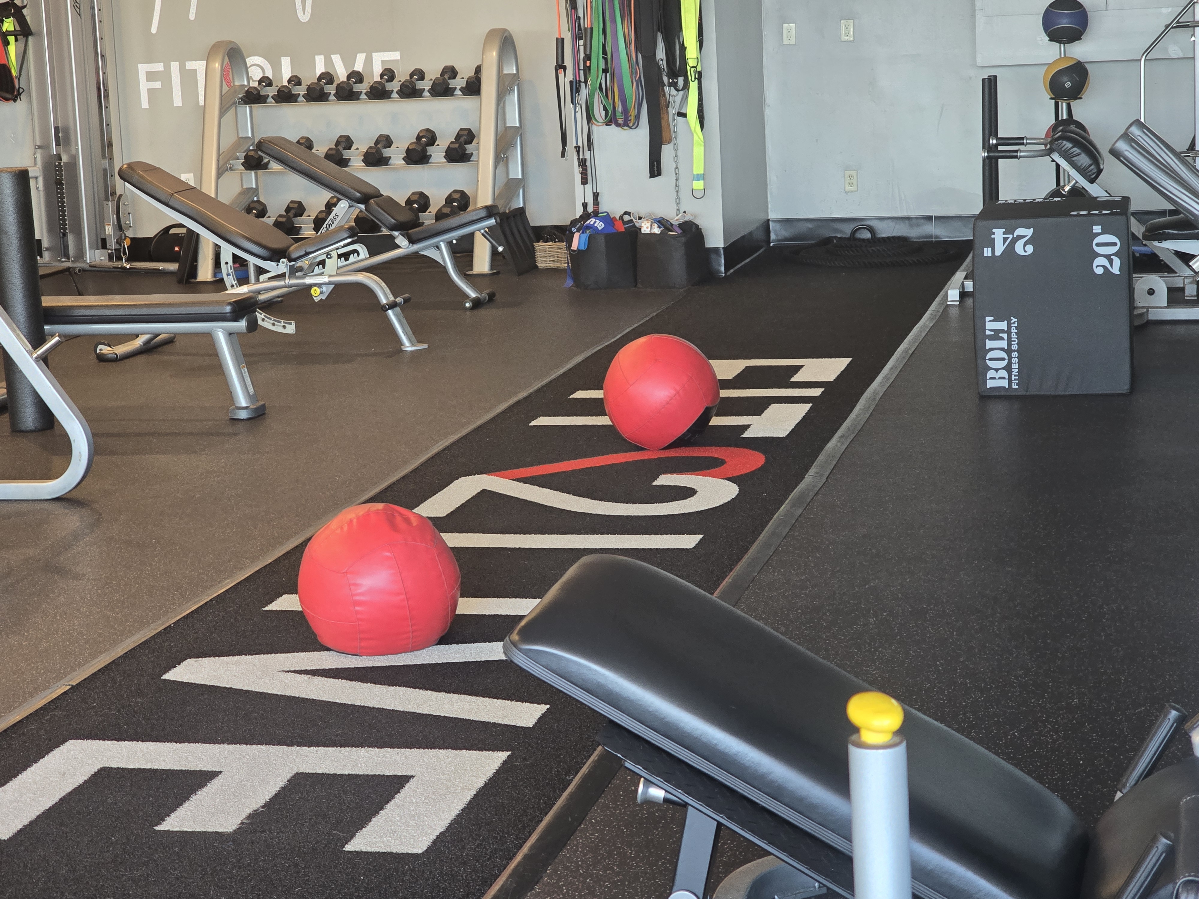 Inside the Fit 2 Live private training studio — branded turf lane, plyo boxes and free weights
